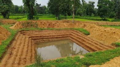 सामुदायिक प्रयासों का रहा बेहतरीन परिणाम, संस्कारधानी को मिल रहा बेस्ट डिस्ट्रिक्ट का सम्मान