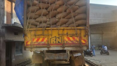 राज्य में अवैध परिवहन किए जा रहे 19 हजार 320 क्विंटल धान जब्त, मार्कफेड ने जारी किए 1 से 16 नवंबर तक के आंकड़े