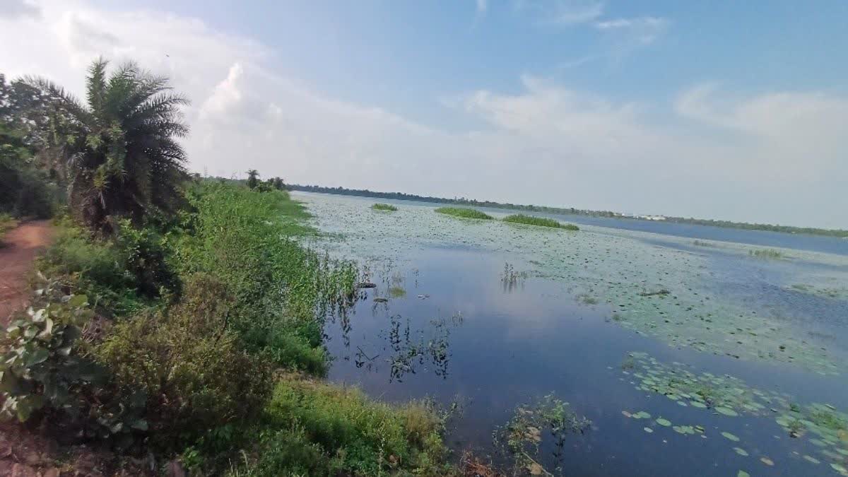 कोपरा जलाशय को मिलेगा रामसर स्थल का दर्जा, राज्य वेटलैंड प्राधिकरण ने भेजा प्रस्ताव*